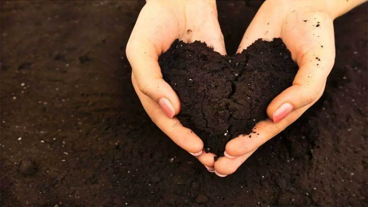 How Many Cubic Feet In 40 Pounds Of Topsoil Explained