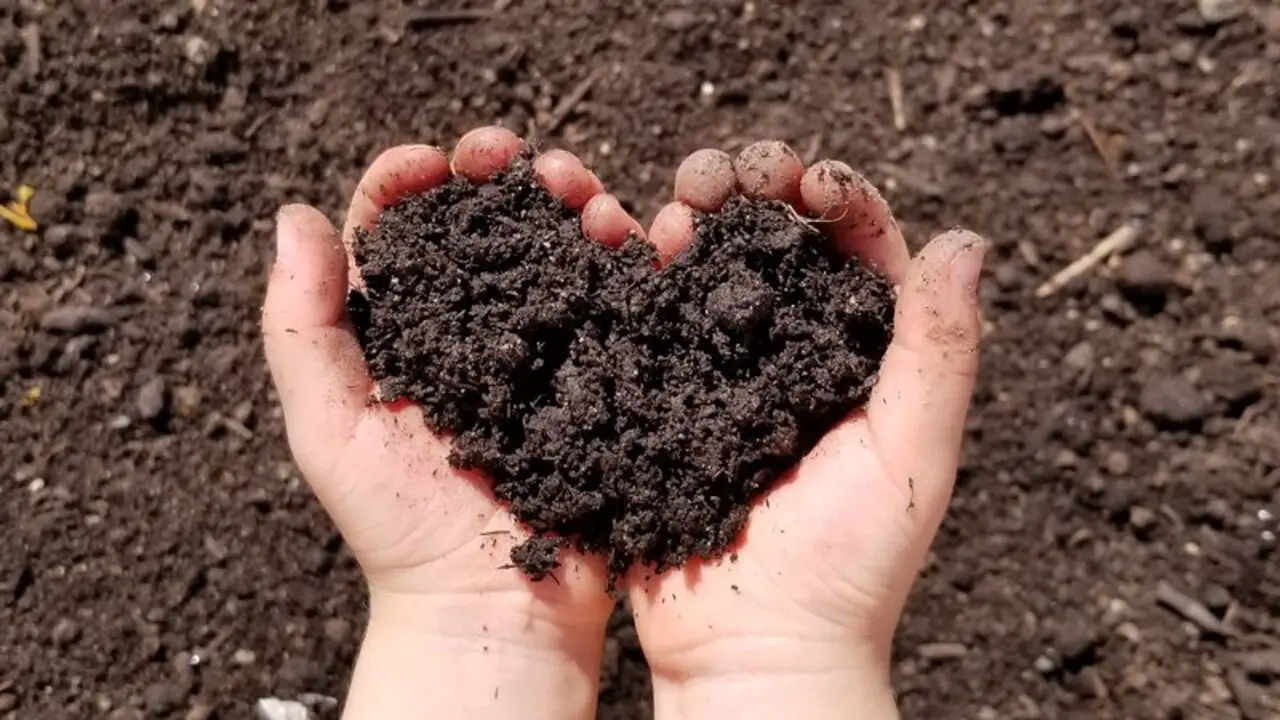 How Much Benifitate Compost As Soil - Details To Know