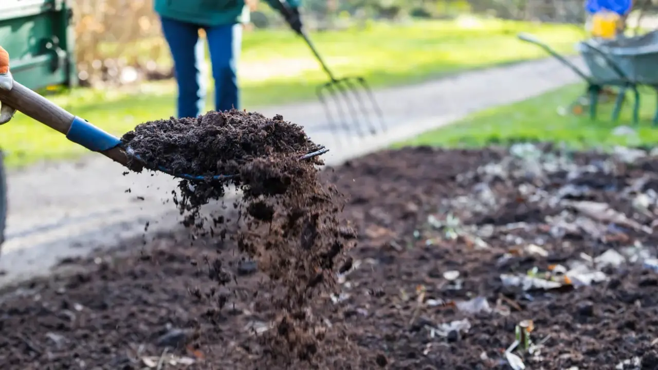 How To Add Compost To Your Soil