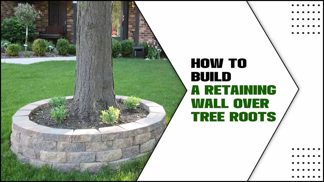 How To Build A Retaining Wall Over Tree Roots