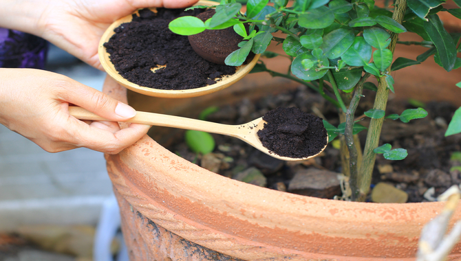  How To Collect Coffee Grounds For Composting