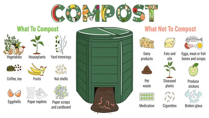 How To Composting For Beginners
