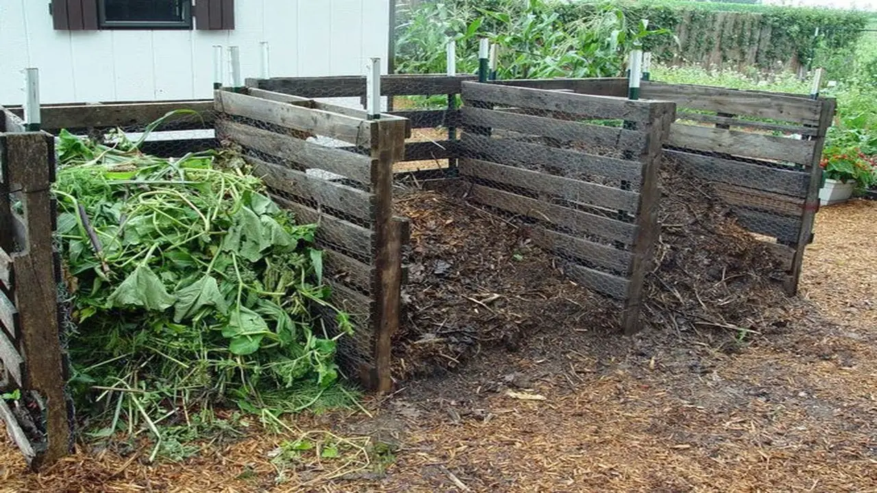 How To Effectively Utilize Compost Connection For Yard Waste Collection
