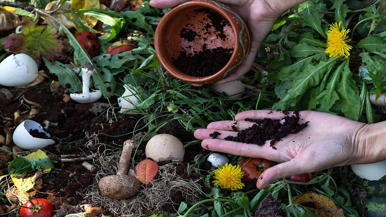 How To Enhance Your Composting Knowledge, A Few Tips