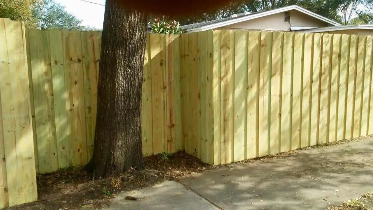 How To Fence Around A Tree - Follow The Below Steps
