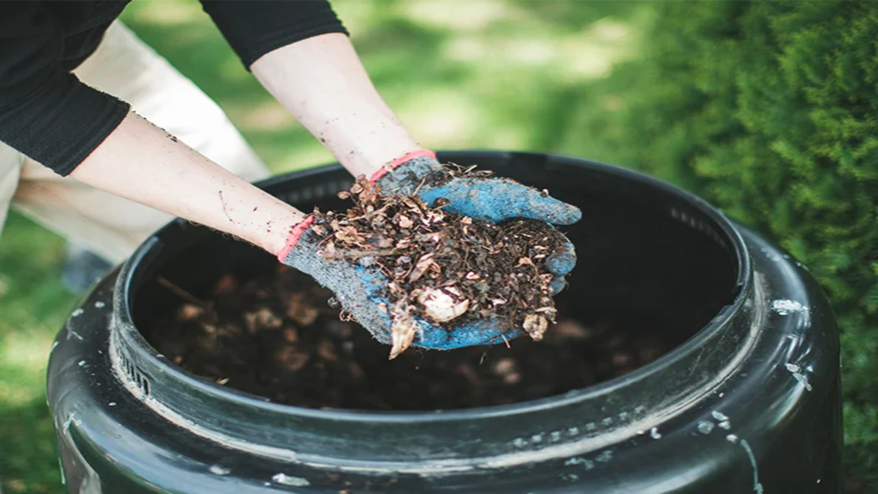 How To Make Compost For Plants In 7 Steps