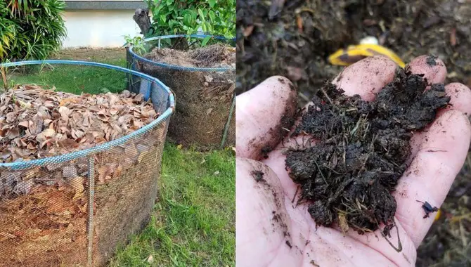 How To Make Compost With Autumn Leaves At Home