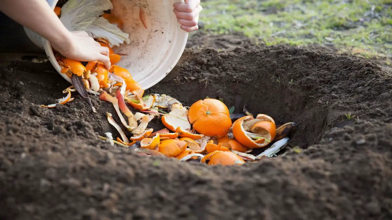 How To Make Composting For Soil Enrichment