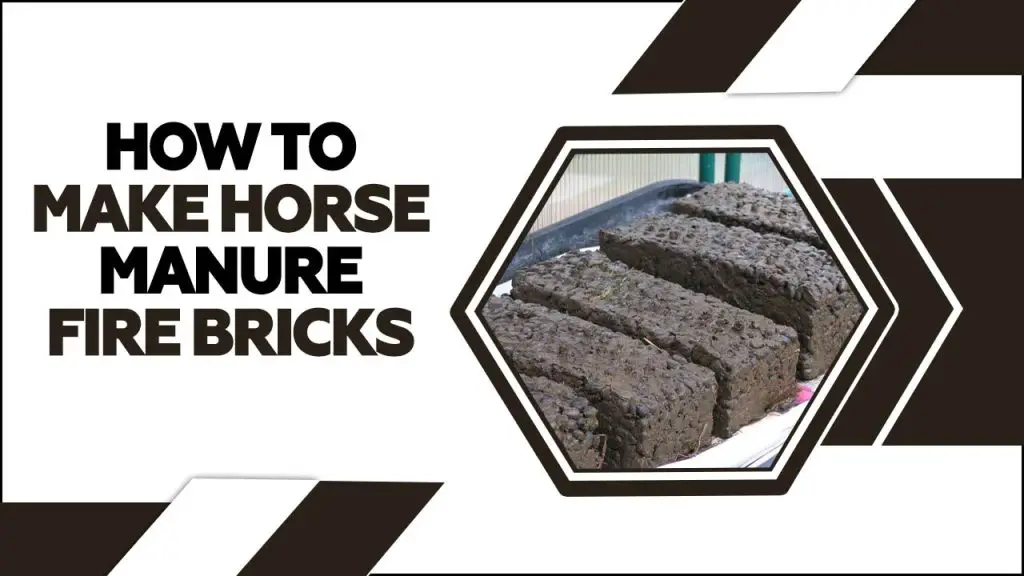 How To Make Horse Manure Fire Bricks