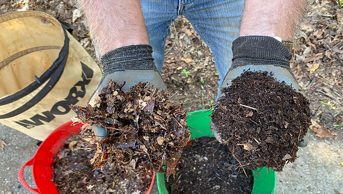 How To Mulch Your Autumn Leaves