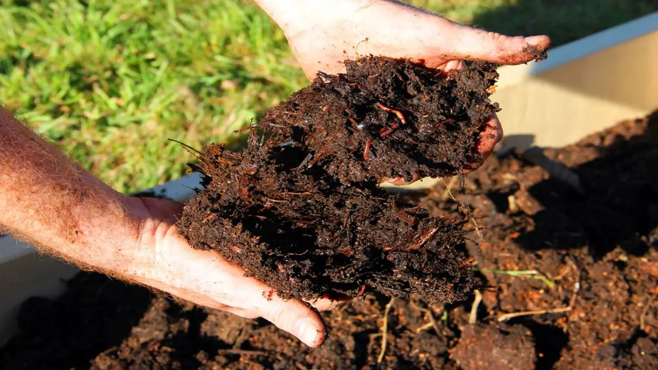 How To Prepare Soil For Planting With-Compost