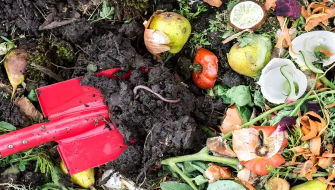 How To Reusing Food Waste For Urban Compost
