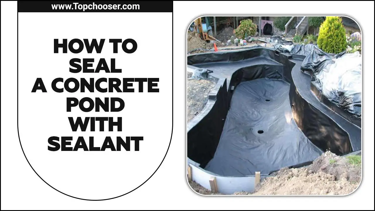 How To Seal A Concrete Pond With Sealant