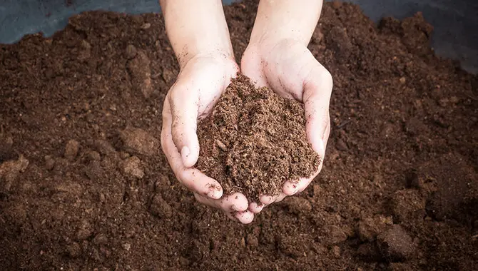 How To Speed Up Composting - Comprehensive Guide