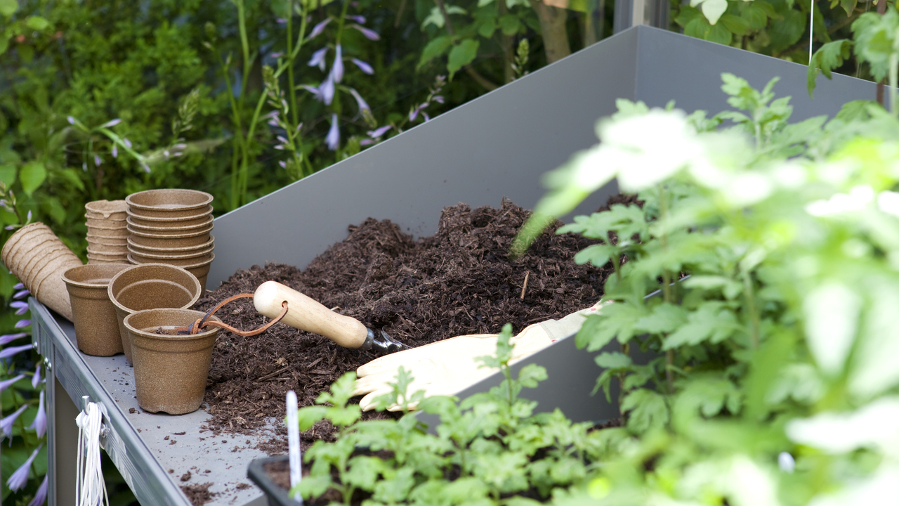 How To Start Composting For Plants - Step By Step Guideline
