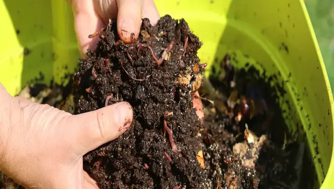 How To Start Composting Organic At Home