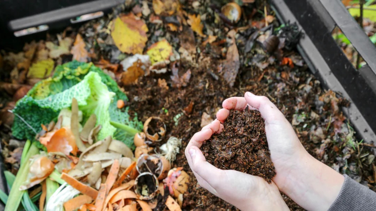 How To Start Organic Composting