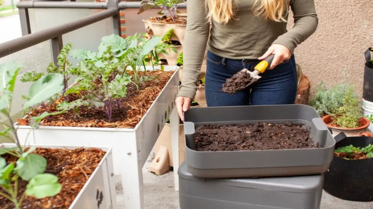 How To Use A Compost For Organic Garden Effectively
