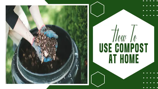 How To Use Compost At Home 