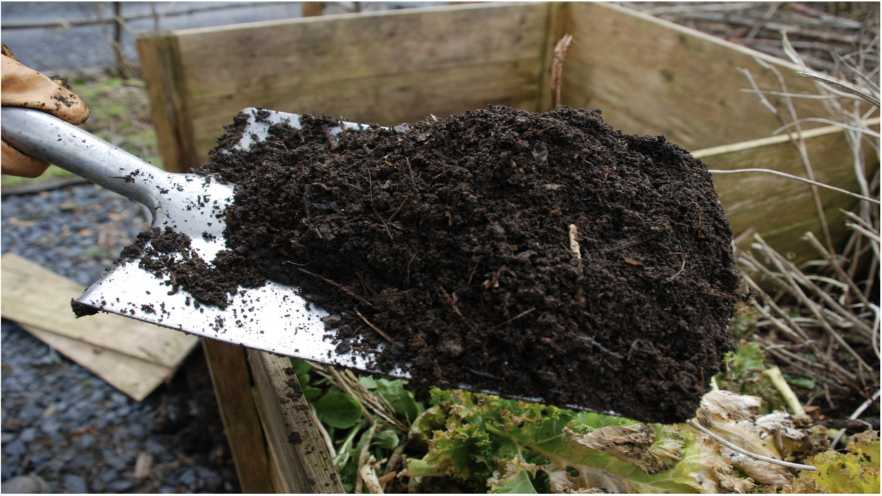 How To Use Compost In Gardens And Landscapes
