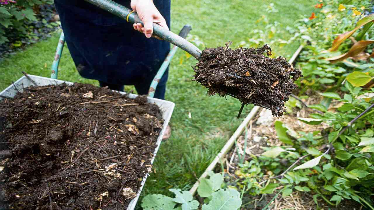 How To Use Compost In Your Garden And Lawn