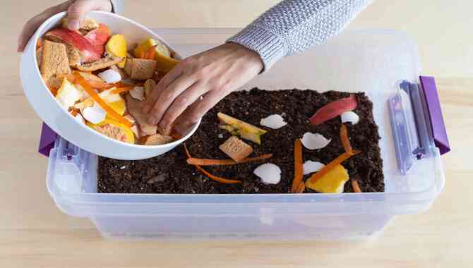 How To Use Composting In Small Apartments