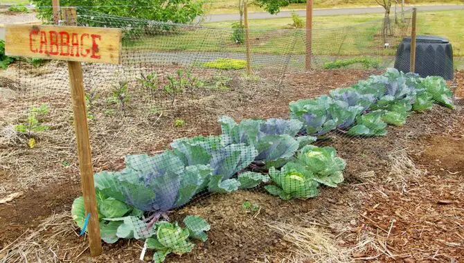How To Use Composting In Vegetable Gardens