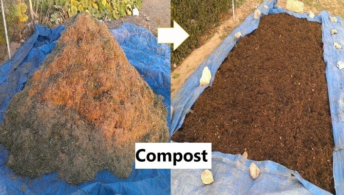 How To Use Grass Clippings Compost Perfectly