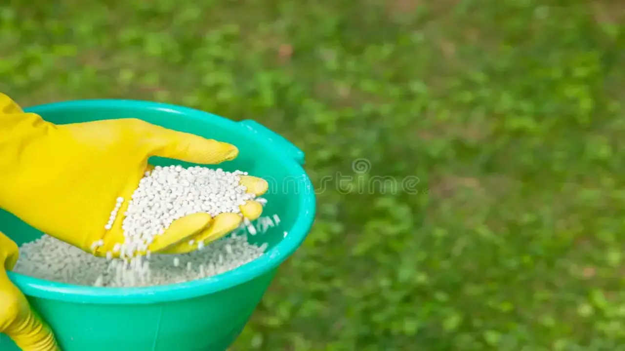 How To Use Green Fertilizer Balls