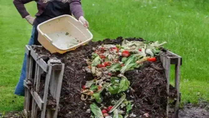 Identifying Common Composting Problems