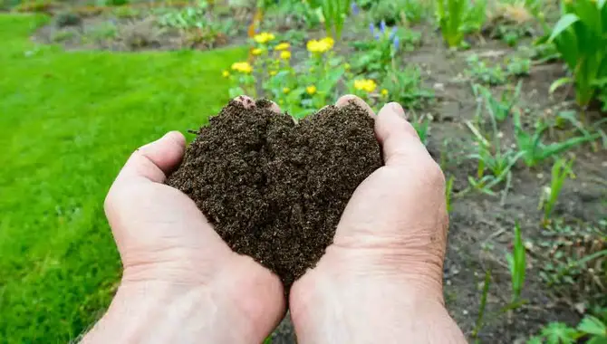Importance Of Composting
