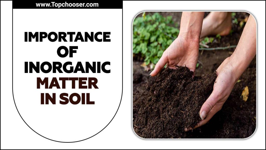 Importance Of Inorganic Matter In Soil