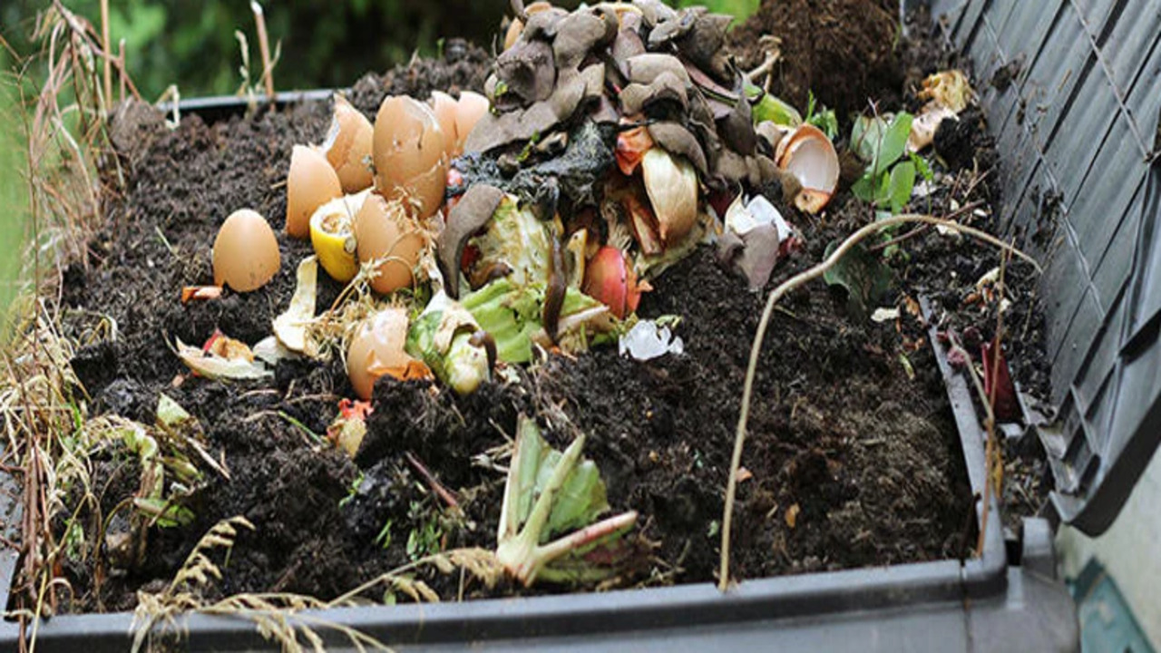 Improving Soil Structure With Second Nature Compost