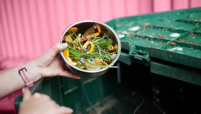 In Which Way Composting For Sustainable Living Can Work