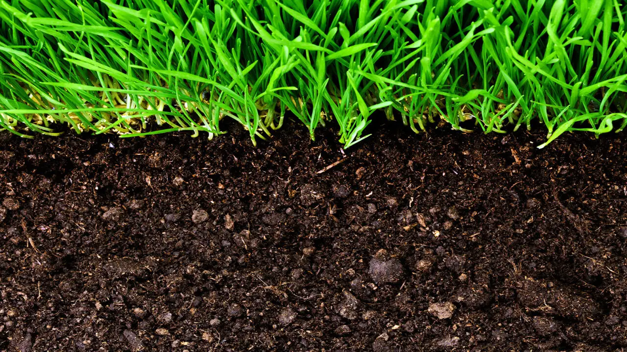 Increases Soil Organic Matter
