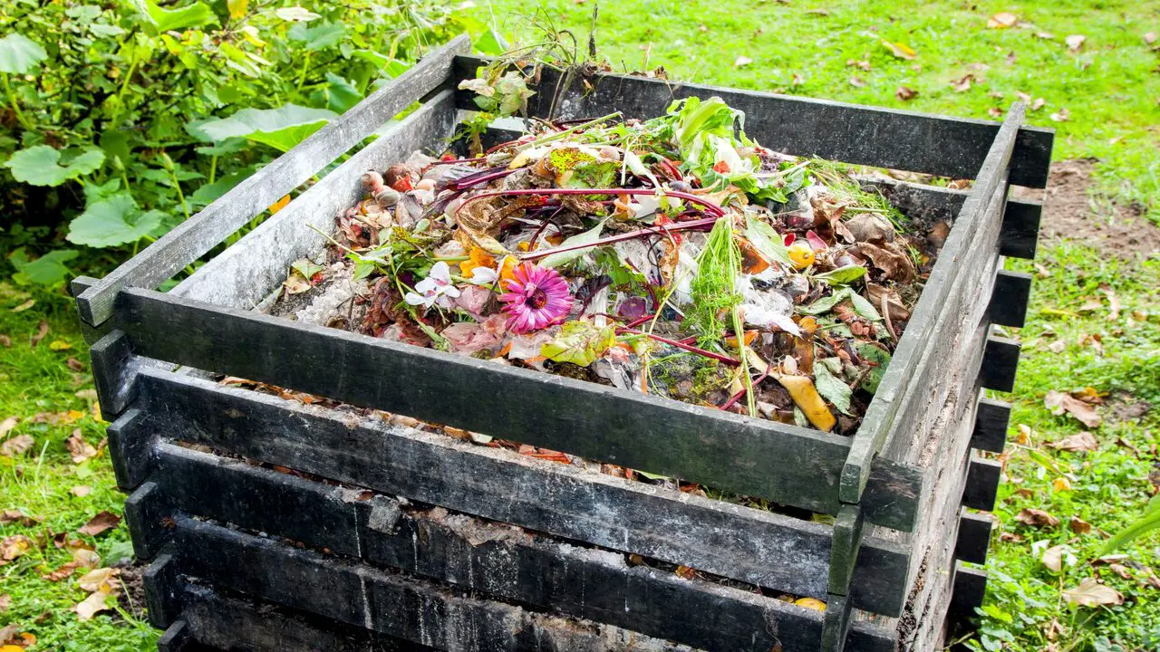 Increasing Crop Yields With Compost