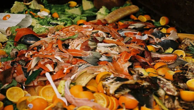  Introduction To Composting With Wood Chips