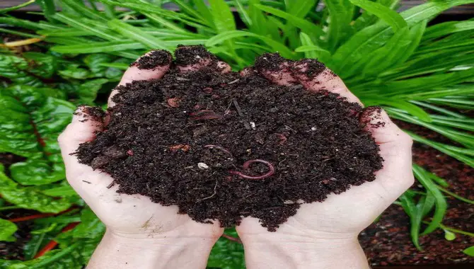 Introduction To Indoor Composting
