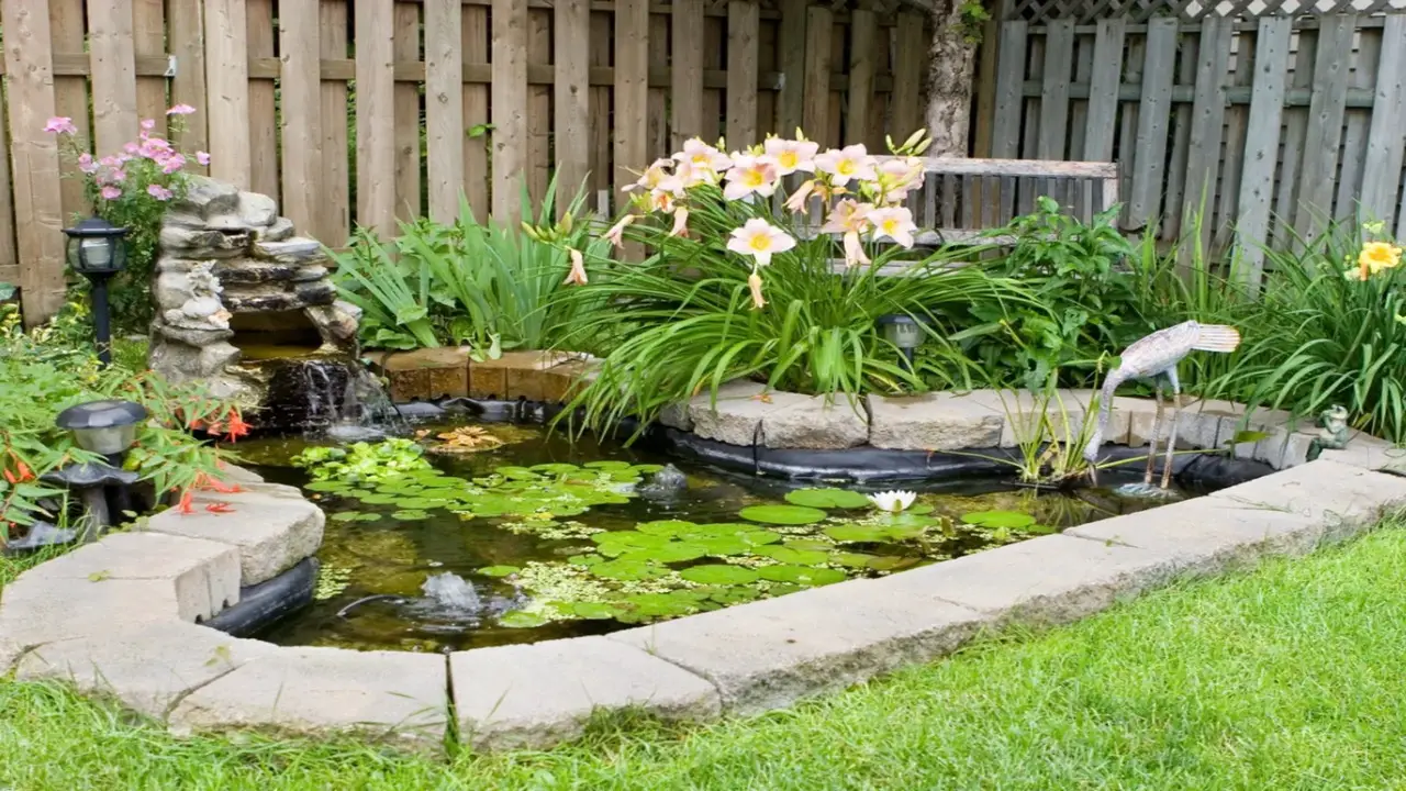 Joining The Garden Pond Community