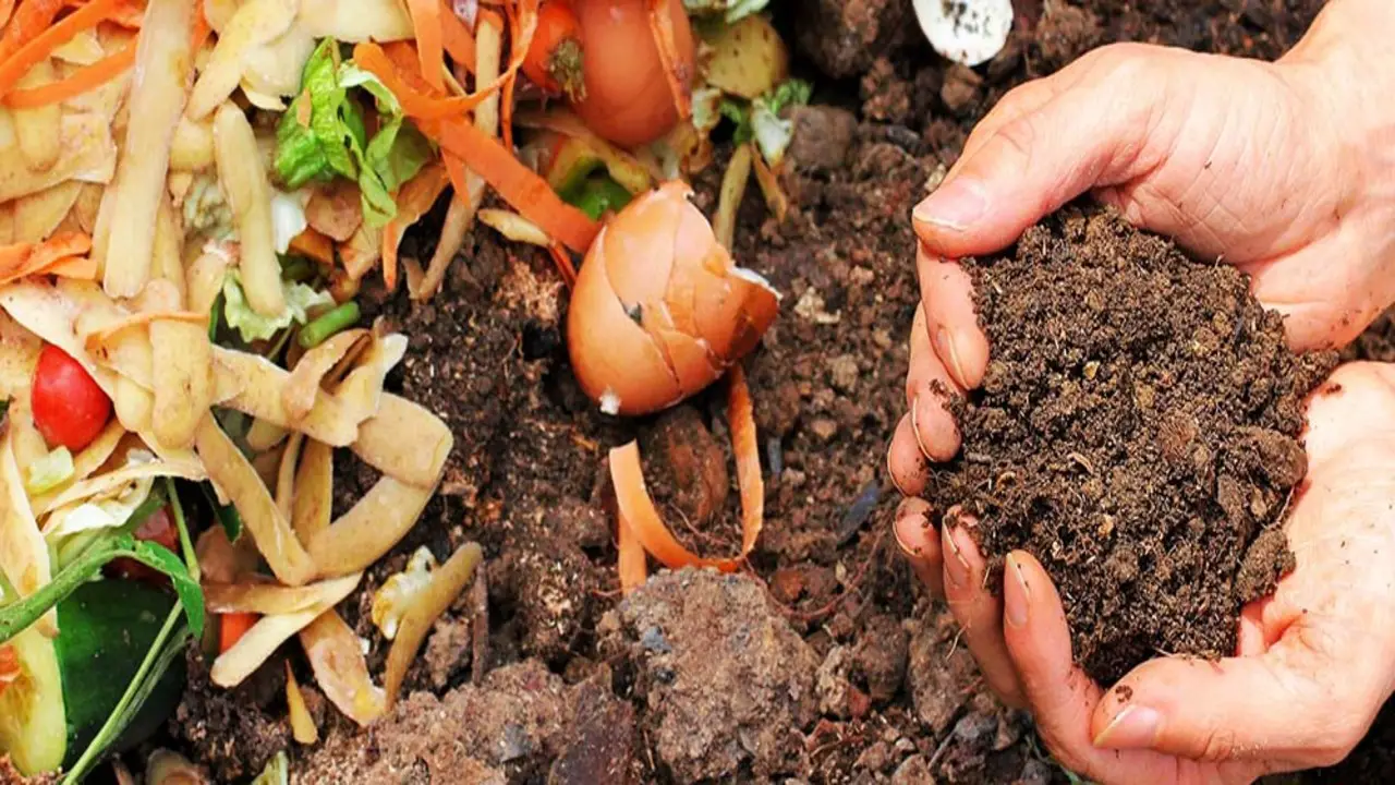 Know What Compost Define-On The Basis Of Environmental Benefit