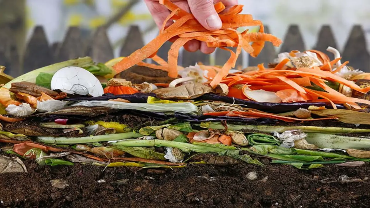 Let's Explain Two Positive Environmental Impacts Of Composting