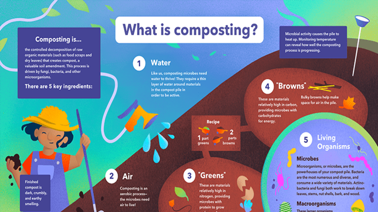 Maintaining And Updating Your Compost Poster Over Time