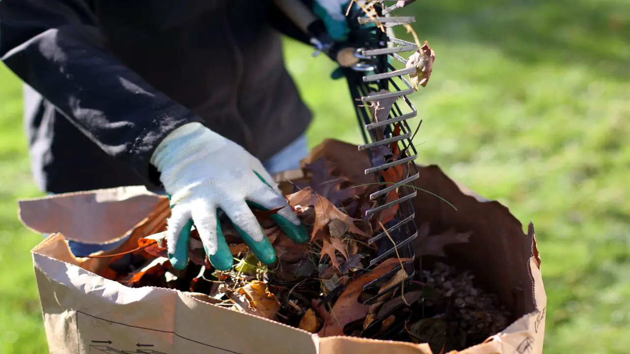 Maintaining Your Compost Bin