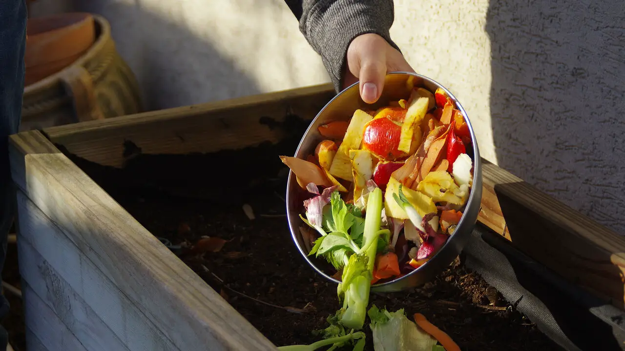 Maintaining Your Compost