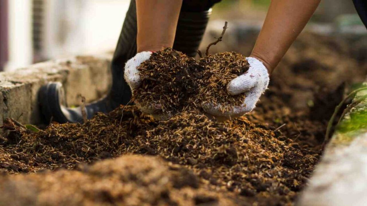 Maintenance Of The Composting System