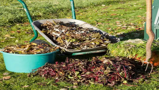 Materials Needed Before Composting With Yard Waste