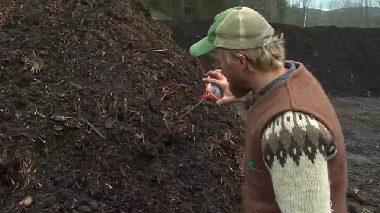 Monitoring The Composting Process