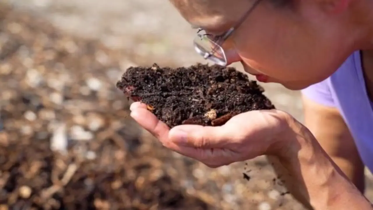 Objectives And Mission Of The Composting Council