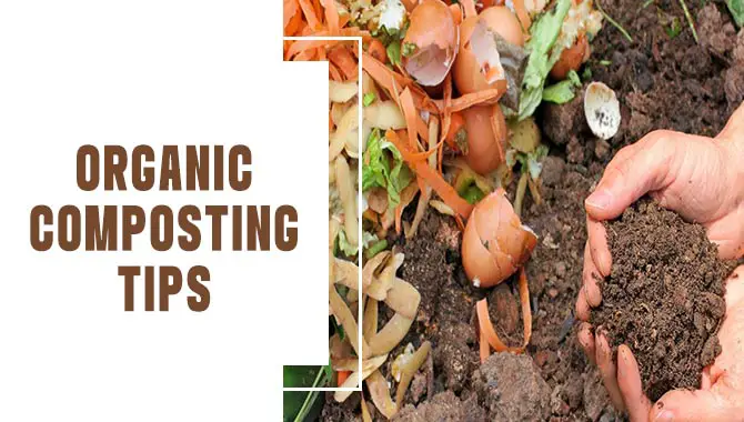 Organic Composting Tips