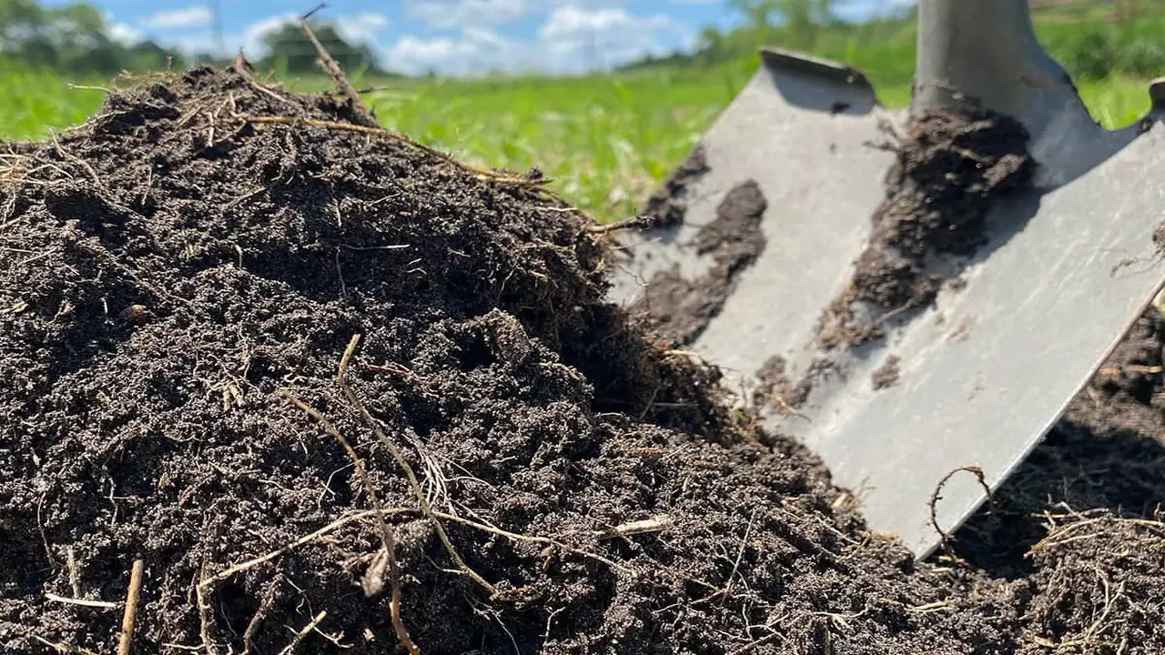 Organic Vs. Synthetic Compost
